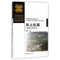 石上红莲-广西彝王寨的巨变