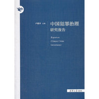 中国犯罪治理研究报告