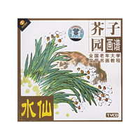 水仙 芥子园画谱 全国老年大学实用书画教程(VCD)