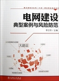 电网建设典型案例与风险防范