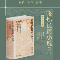 张炜长篇小说（三）（精装）
