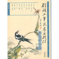 禽鸟草虫篇-刘阔工笔花鸟画技法-下册
