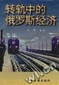 转轨中的俄罗斯经济