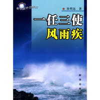 一任三使风雨疾