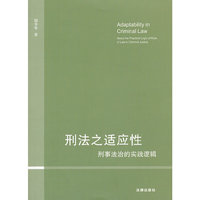 刑法之适应性:刑事法治的实践逻辑