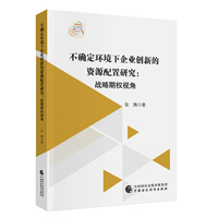 不确定环境下企业创新的资源配置研究