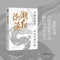 潮起潮涌（乡镇企业史，从宗汉看中国，重新发现中国乡村振兴的路径和内生动力，财经作家吴晓波作序力荐）