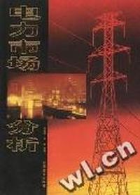 电力市场分析