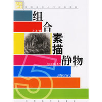 组合素描静物(基础美术入门训练教材)/进阶教室