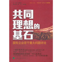共同理想的基石-国有企业若干重大问题评论