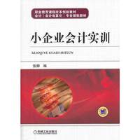 小企业会计实训
