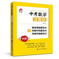 中考数学三百分——稳拿基础题百分+巩固中档题百分+突破压轴题百分（代数）