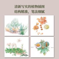 超级科学家？了不起的植物