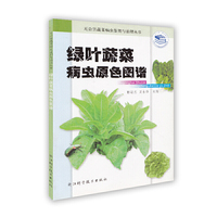 绿叶蔬菜病虫原色图谱——无公害蔬菜病虫鉴别与治理丛书