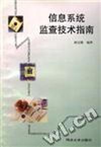 信息系统监查技术指南
