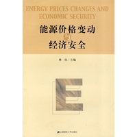 能源价格变动与经济安全