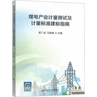 煤电产业计量测试及计量标准建标指南