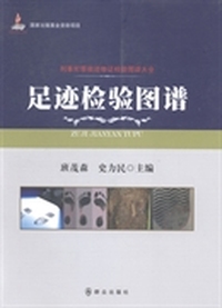 足迹检验图谱