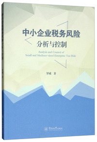 中小企业税务风险分析与控制