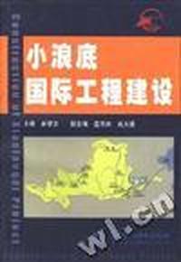 小浪底国际工程建设
