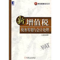 新增值税 税务筹划与会计处理