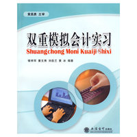 双重模拟会计实习