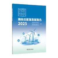湖南省能源发展报告2025