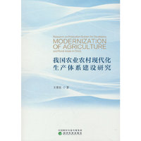 我国农业农村现代化生产体系建设研究