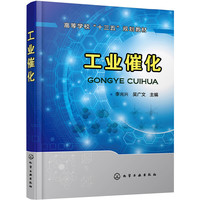 工业催化(李光兴)