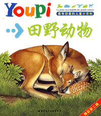 最有创意的youpi儿童小百科第二辑（套装）