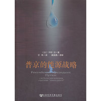 普京的能源战略