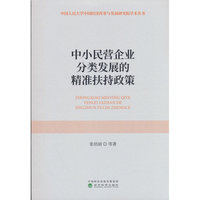 中小民营企业分类发展的精准扶持政策