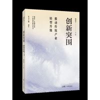 创新突围：推动传统产业转型升级