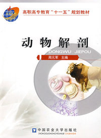 动物解剖