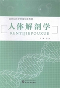 人体解剖学