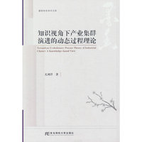 知识视角下产业集群演进的动态过程理论