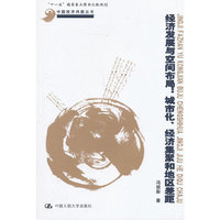 经济发展与空间布局：城市化、经济集聚和地区差距（中国经济问题丛书；“十一五”国家重点图书出版规划）
