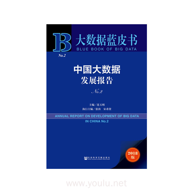 大数据蓝皮书：中国大数据发展报告No.2