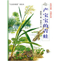 产宝宝的青蛙