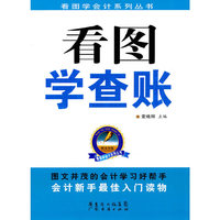 看图学查账
