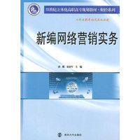 新编网络营销实务