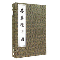 存真环中图