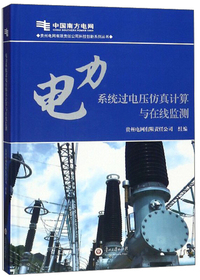 电力系统过电压仿真计算与在线监测/贵州电网有限责任公司科技创新系列丛书
