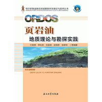 页岩油地质理论与勘探实践