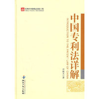 中国专利法详解