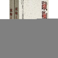 蹴鞠王-(上下)