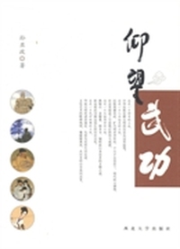 仰望武功