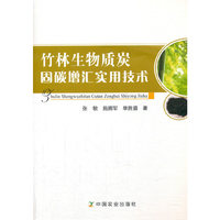 竹林生物质炭固碳增汇实用技术