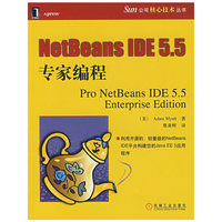 NetBeans IDE 5.5 专家编程