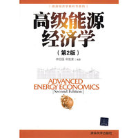 高级能源经济学-(第2版)